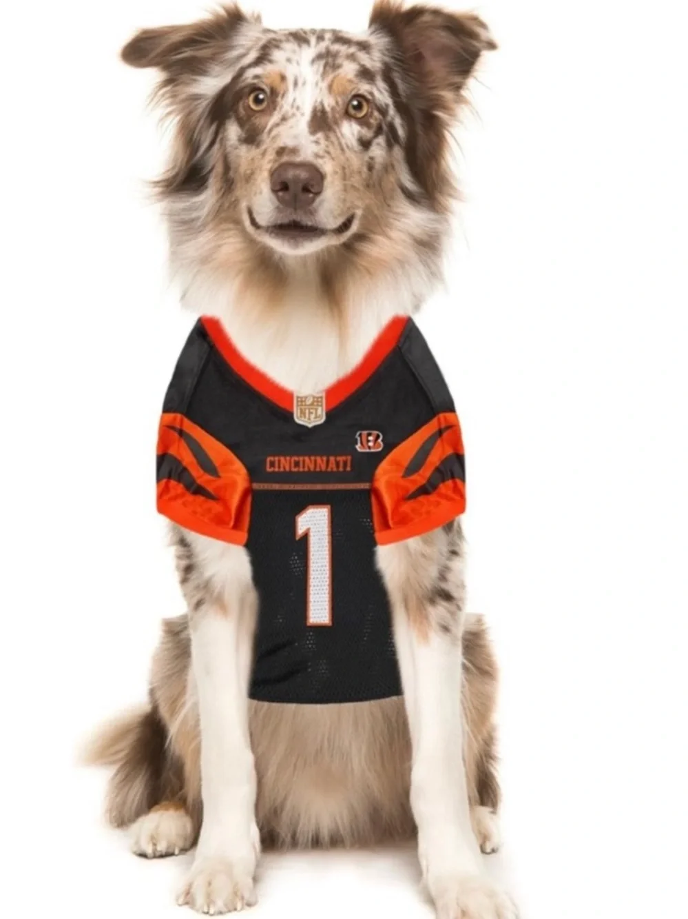 NWT Ja’Marr Chase Dog Jersey